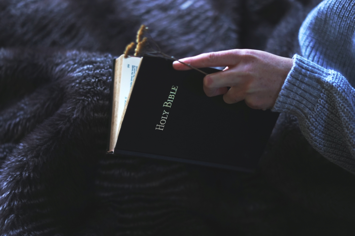 person holding the Holy Bible
