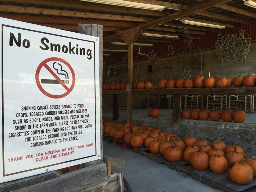 No Smoking sign with pumpkins