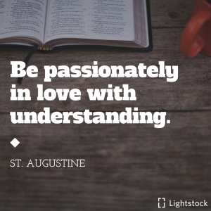 Be passionately in love with understanding. St. Augustine