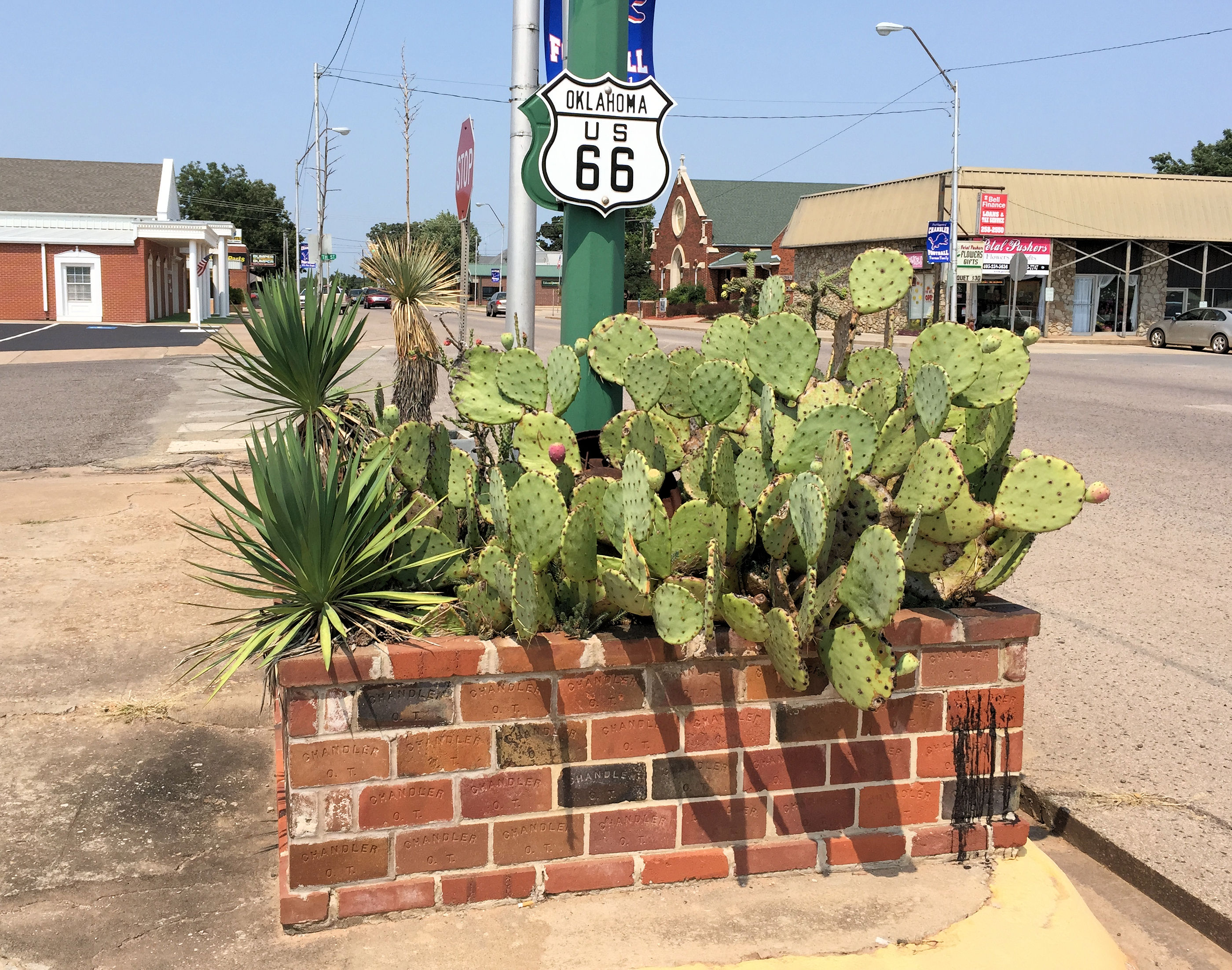 a US Route 66 road sign in Oklahoma by a display of cacti