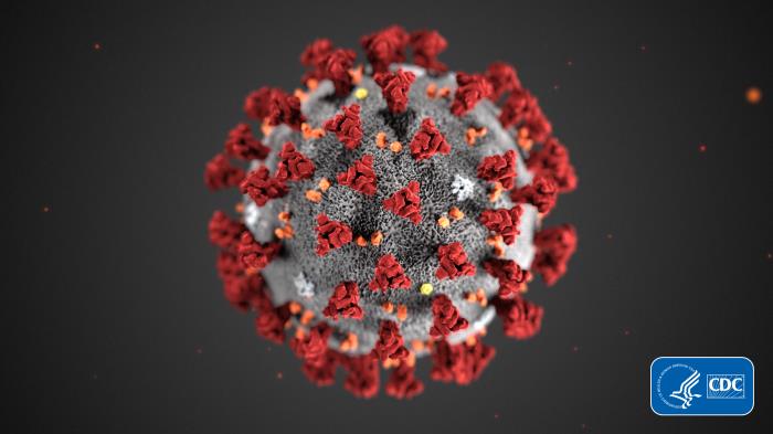 an electron microscope image of the coronavirus